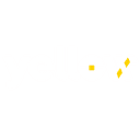 Yellow Network Private D Round